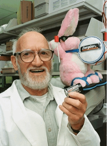 Lewis Urry — An Energizer bunny in his own right